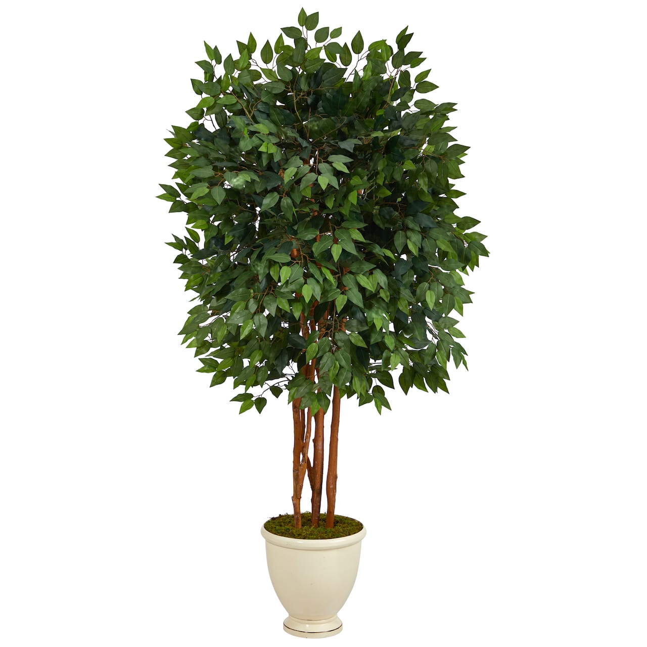 5.5ft. Super Deluxe Ficus Tree in Decorative Urn